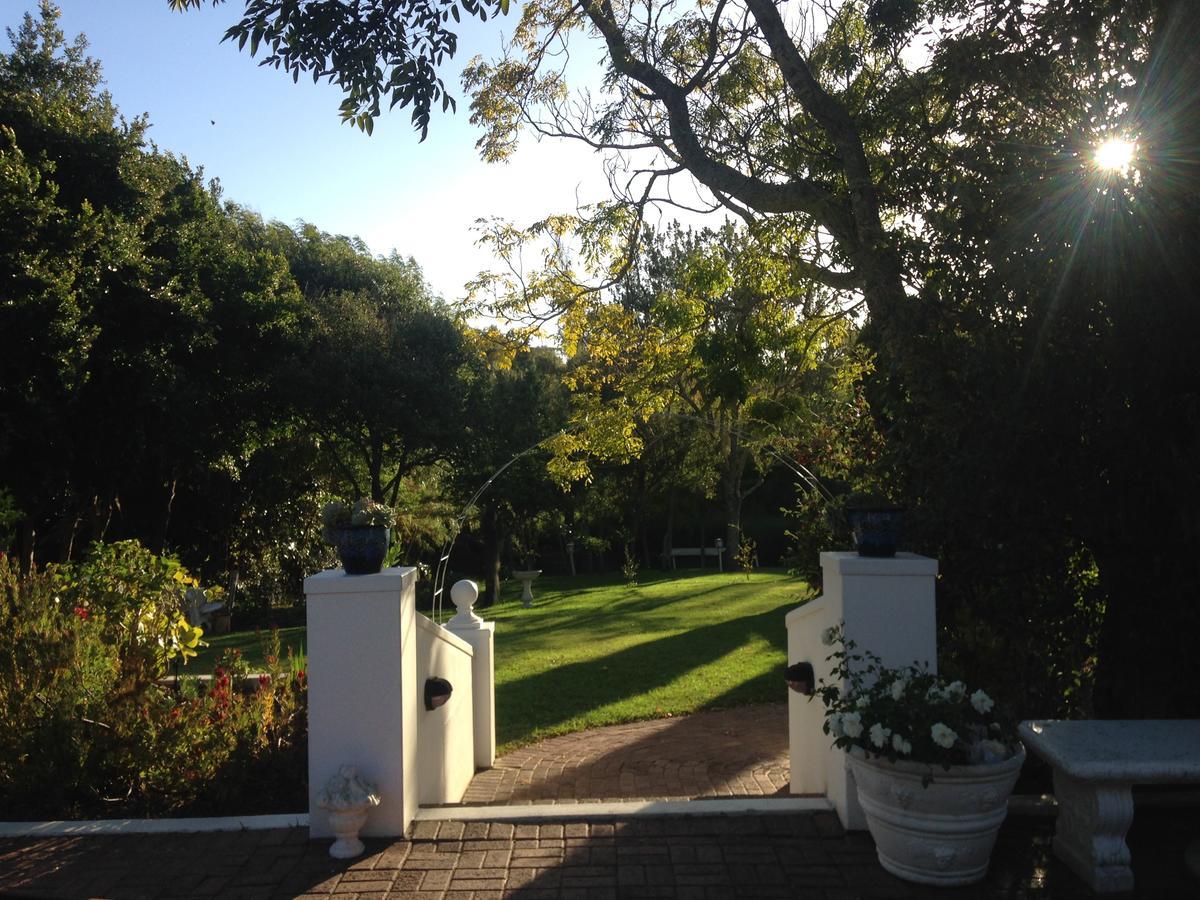 Constantia Spring Bed & Breakfast Exterior foto