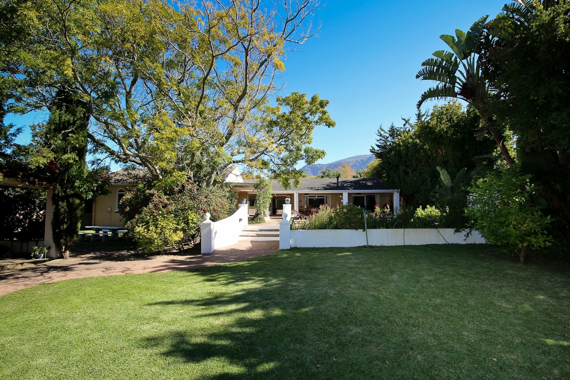 Constantia Spring Bed & Breakfast Exterior foto